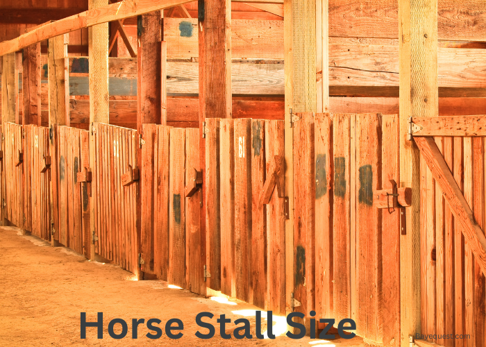 Horse Stall Size