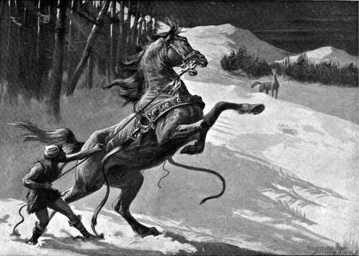 Horse in Norse Mythology