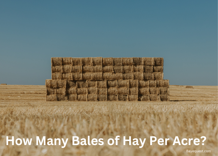 How Many Bales of Hay Per Acre