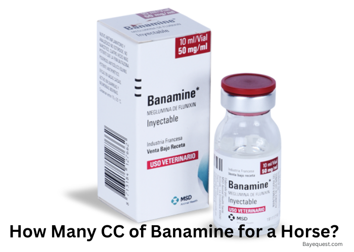 How Many CC of Banamine for a Horse