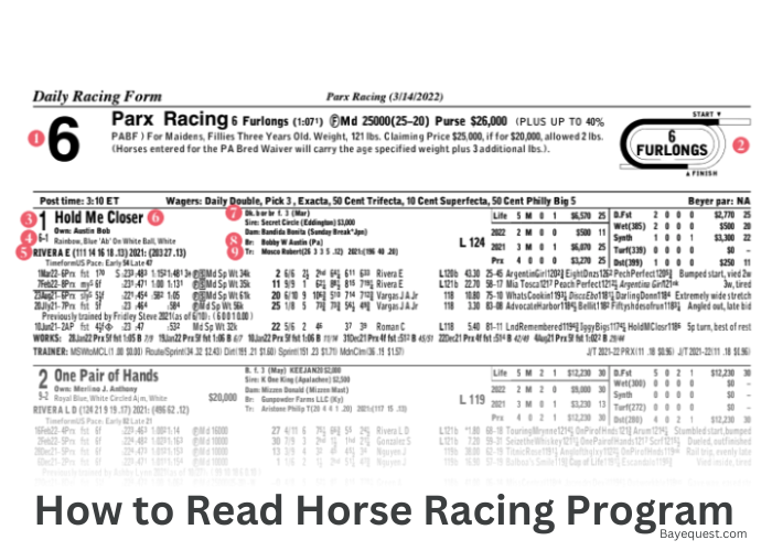 How to Read Horse Racing Program