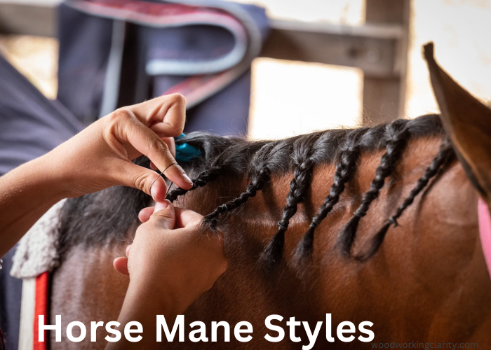 Horse Mane Styles