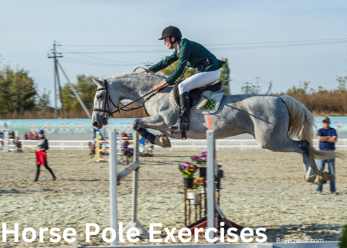 Horse Pole Exercises