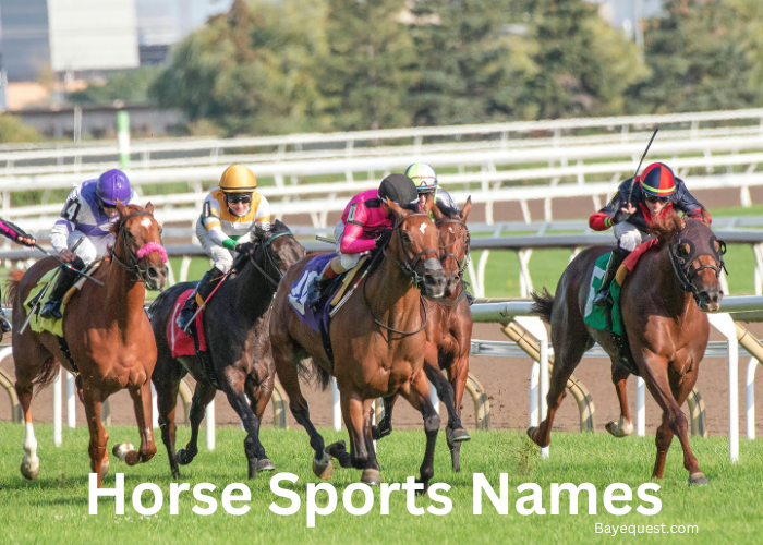 Horse Sports Names