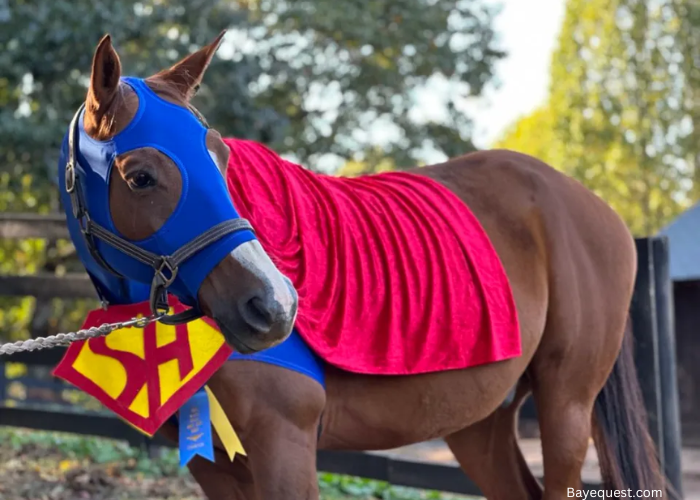 Horse Halloween Costumes