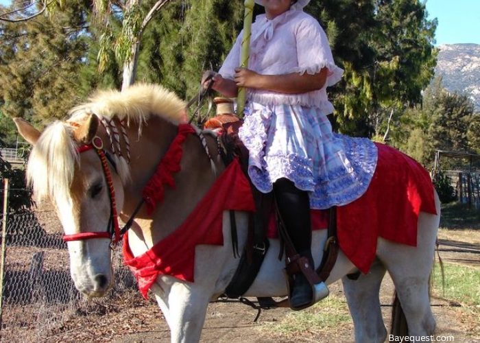 Horse Halloween Costumes