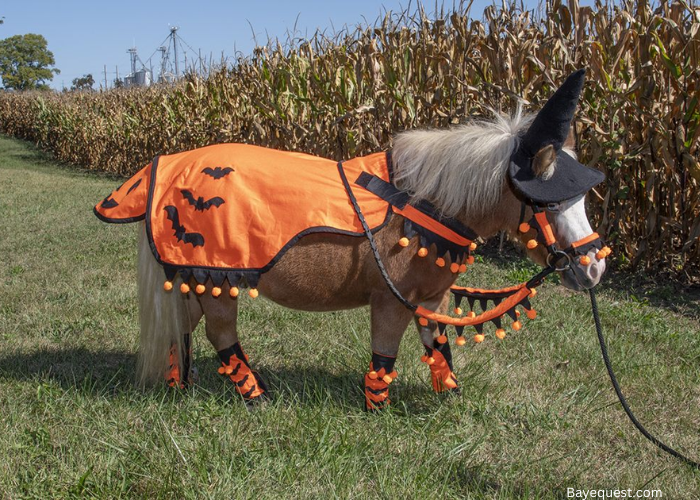 Horse Halloween Costumes