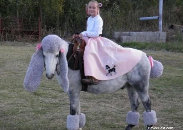 Horse Halloween Costumes