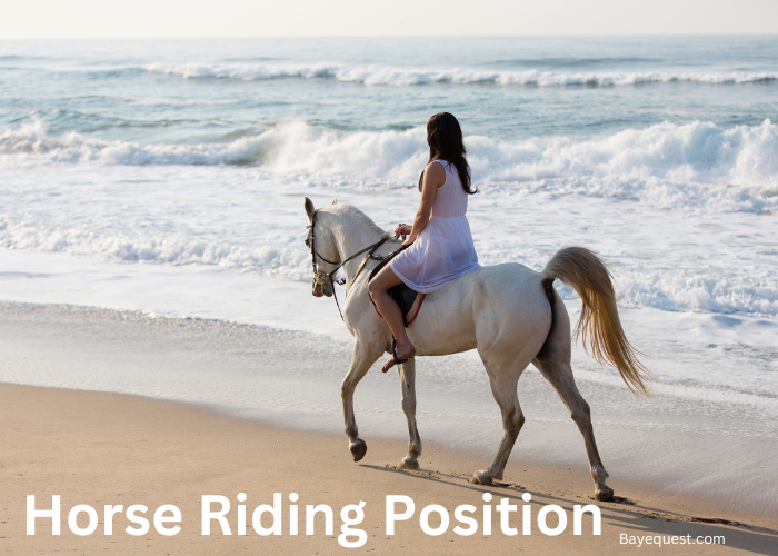 Horse Riding Position