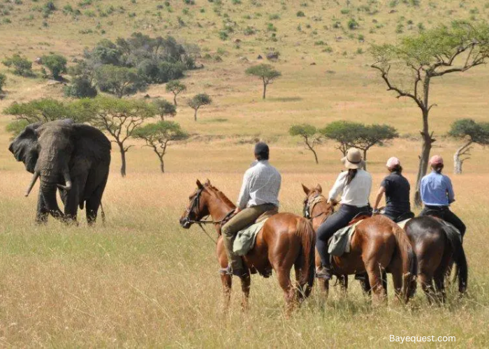 Best Horseback Riding Vacations