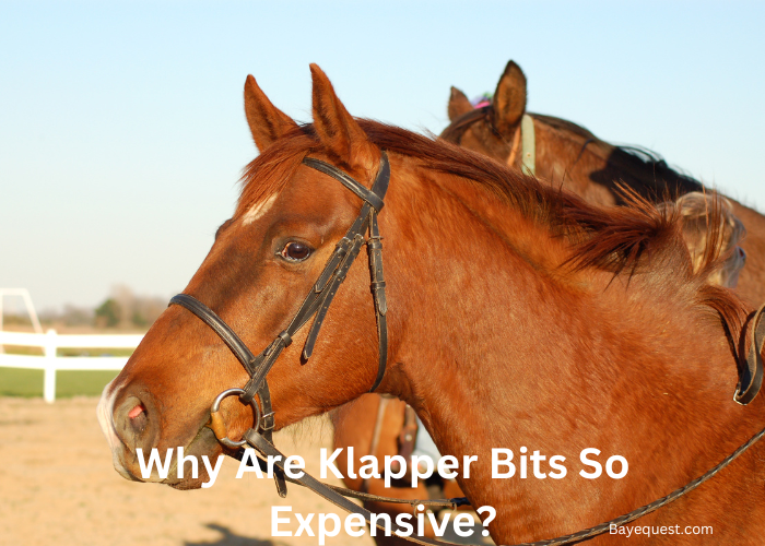 Why Are Klapper Bits So Expensive