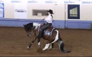 Double Bright Diamond - Bay Area Equestrian Network